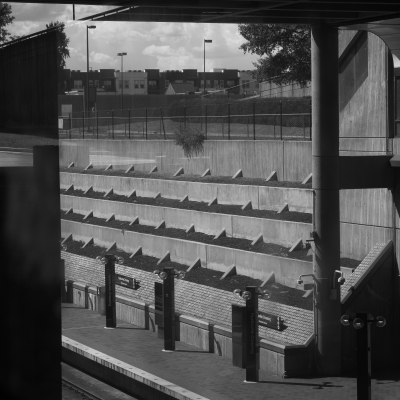 streets-people-events-5